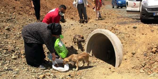 Kızılay Bu Defa Yavru Köpekler İçin Devrede