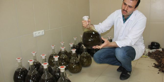 Işkın’ın Doku, Organ Ve Hücre Hasarlarını Onardığı Tespit Edildi