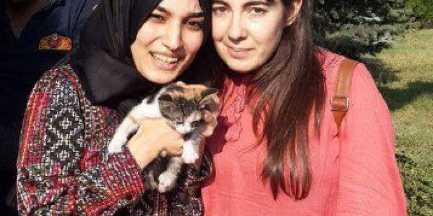 Çalılıklara Sıkışan Yavru Kediyi İtfaiye Kurtardı