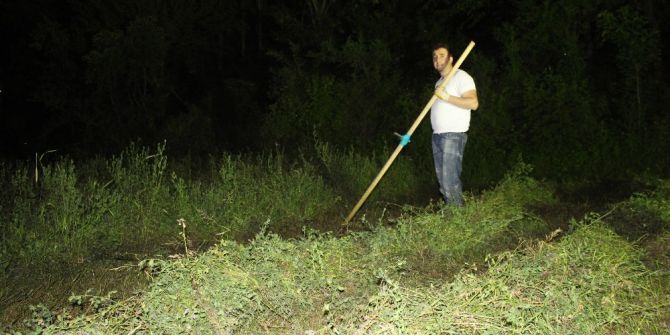 Çiftçiler İşlerini İftar Sonrasına Bıraktı
