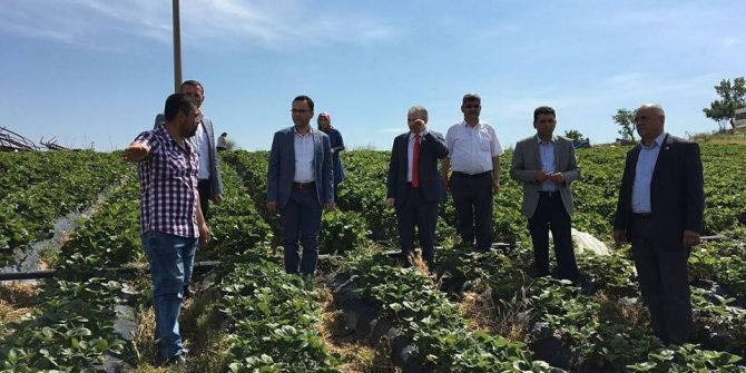 Badem İşletme Tesisine Yerinde İnceleme