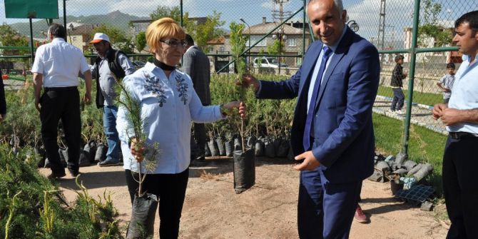 Yüksekova Belediyesi 13 Bin Fidan Dağıttı