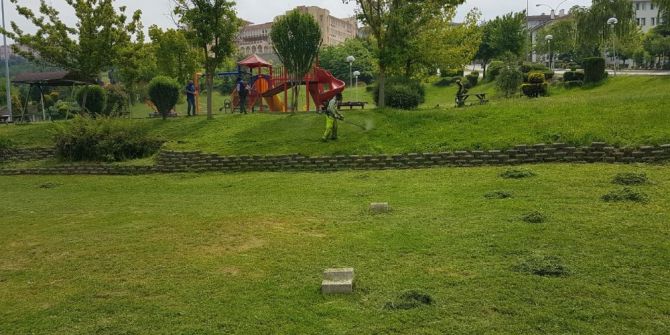 Çim Biçme Çalışmaları Arttı