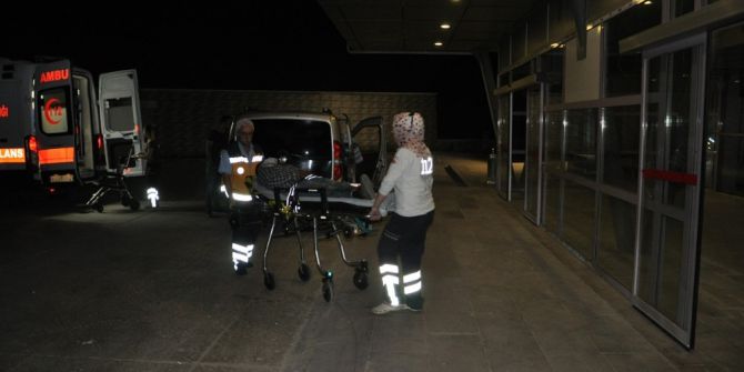 Tunceli’de Trafik Kazası: 5 Kişi Yaralandı, 50 Hayvan Telef Oldu