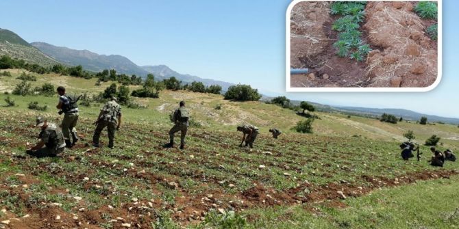 Diyarbakır’da Devam Eden Operasyonda 2 Güvenlik Görevlisi Yaralandı