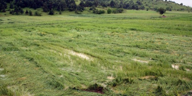 Sigorta Sadece Zor Zamanlarda Hatırlanmamalı