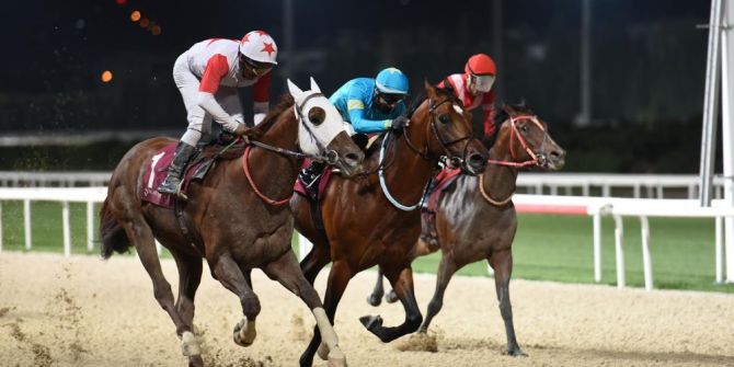 İzmir Şirinyer Hipodrumu Adü Kupasına Ev Sahipliği Yaptı