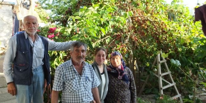 Şifalı Karadut Hasadı Başladı