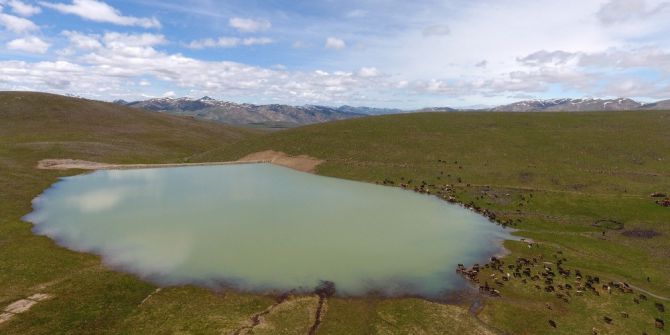 Büyükşehir’den Tarım Ve Hayvancılığa Tam Destek