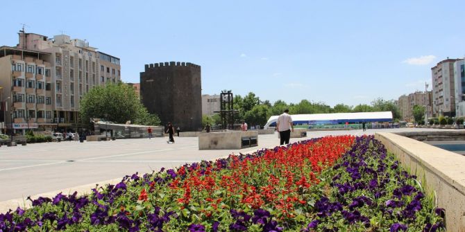 Gri Surlar Çiçeklerle Renklendi