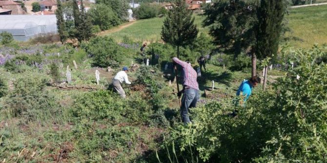 Köprübaşı’nda Mezarlıklar Temizleniyor