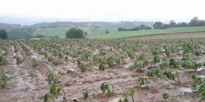 Bursa’da Tarlaları Dolu Vurdu