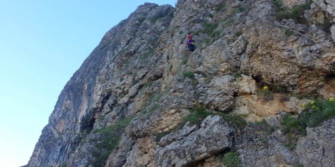 Kayalıkta Mahsur Kalan Keçileri Afad Kurtardı