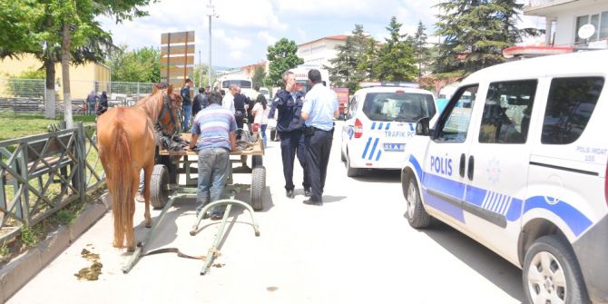 At Arabası Yayaya Çarptı, 1 Yaralı