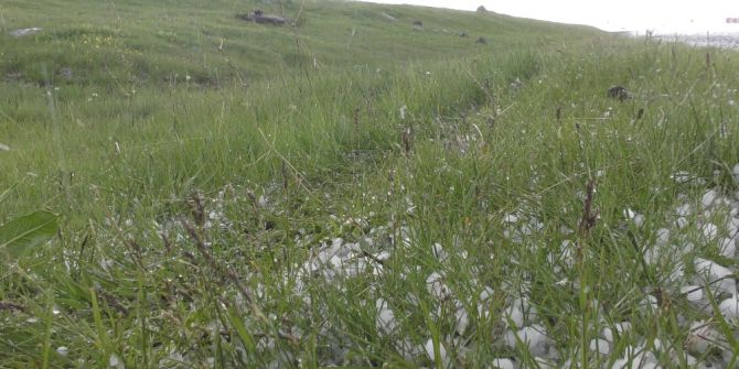 Dolu, Tarım Arazilerine Zarar Verdi