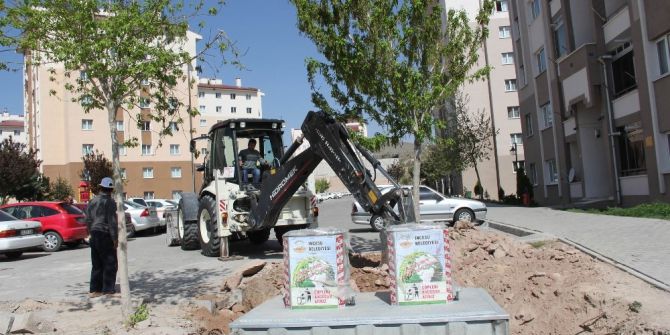 İncesu Belediyesi Çevreci Bir Belediye Olma Yolunda Hızla İlerliyor