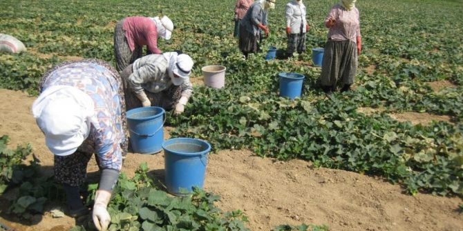 Çorum’daki Mevsimlik İşçilerin Yaşam Standartları Yükseltilecek