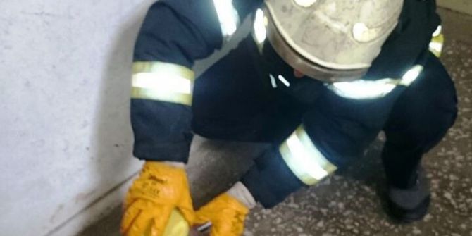 Apartmana Giren Yılanı İtfaiye Yakaladı