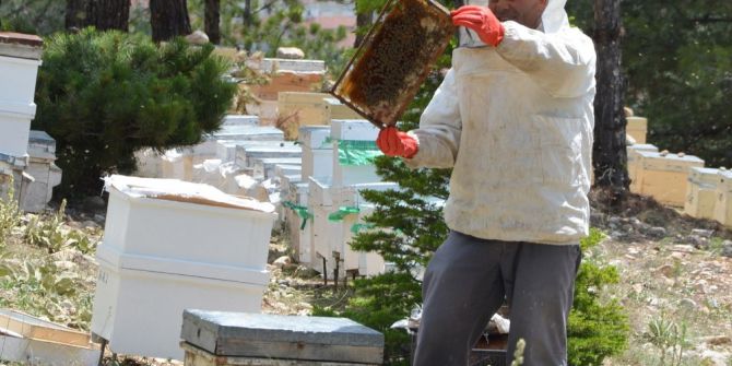 Bal Üretimi Beklentiyi Karşılamadı