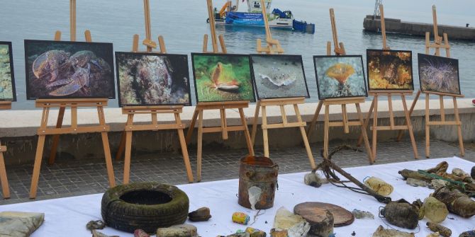 Denizin Dibinden Çıkanlar Hayrete Düşürdü