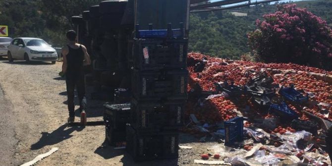 20 Ton Domates Yüklü Tır Devrildi