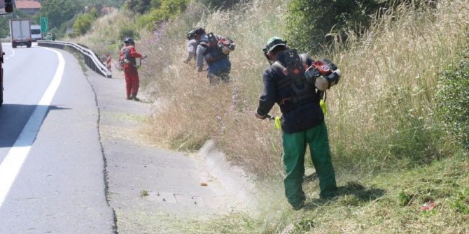 Yeşil Alanlar Zararlı Otlardan Temizleniyor