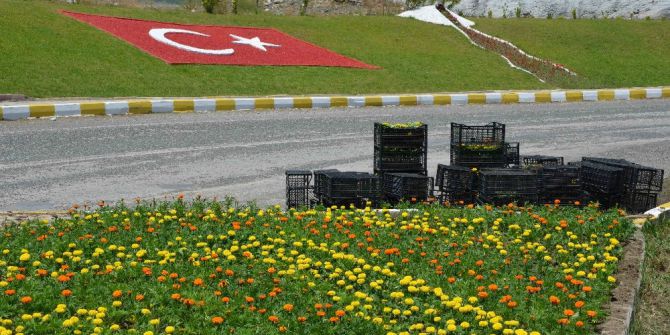 Köyceğiz’de Mevsimlik Çiçek Dikimi