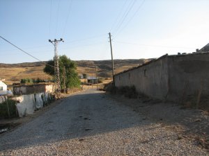 Muş Bostankent Köyü