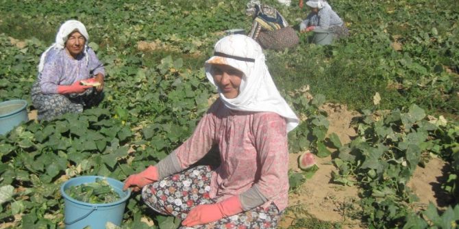 Ödemiş’te Salatalık Sezonu Açıldı