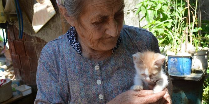 İzmir’deki Vahşet Hayvanseverleri Ayaklandırdı