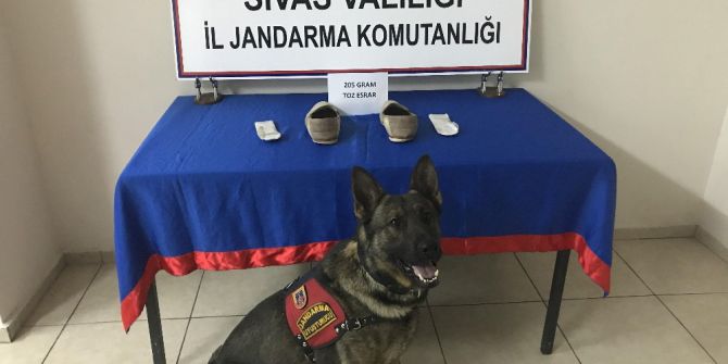 Ayakkabı Tabanına Gizlenmiş Uyuşturucuyu Narkotik Köpeği Buldu
