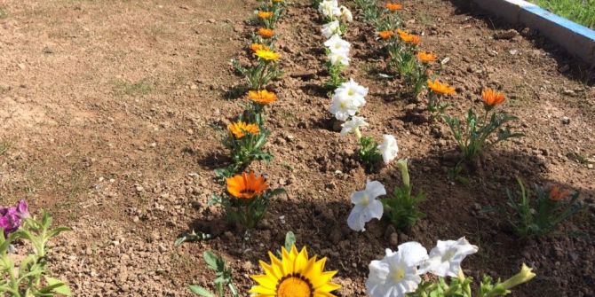 Edremit Çiçeklerle Süsleniyor