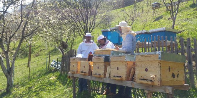 Sırbistan’da Genç Arıcılara Eğitim