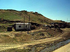 Muş Bozbulut Köyü