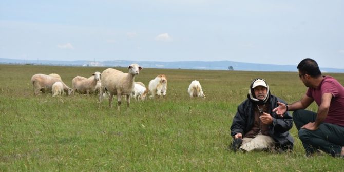 Tekirdağ’da Hayvancılığa Destek Çalışmaları