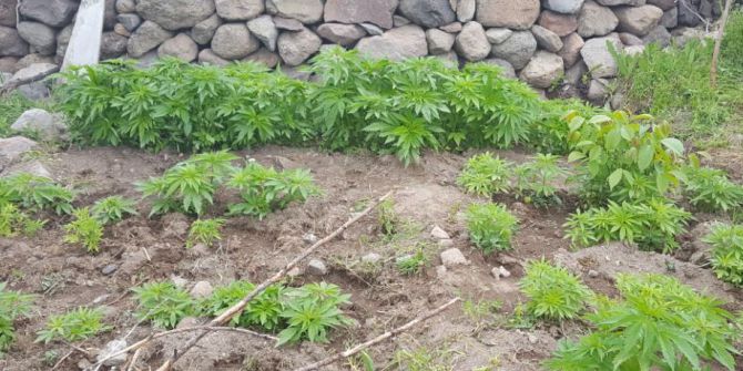 Kayseri’de Uyuşturucu Operasyonu: 2 Gözaltı