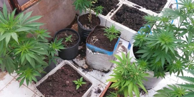 Ayvalık’ta Uyuşturucu Satıcılarına Darbe