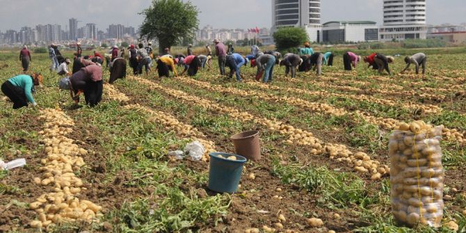 49 Lira İçin 15 Saat Çalışıyorlar