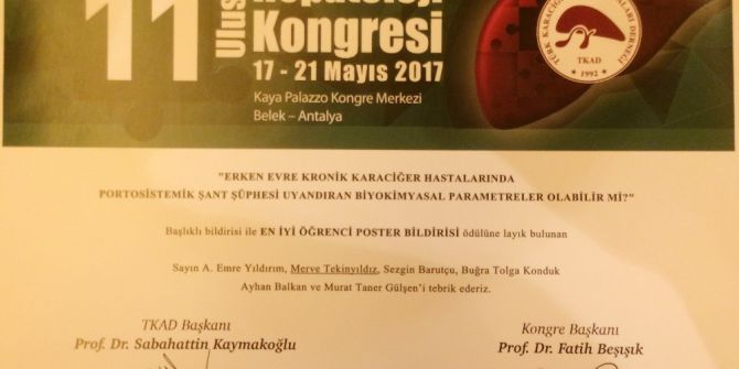 Gaün’e En İyi Poster Bildiri Ödülü