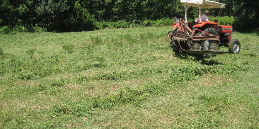 Özel İdare Köy Meralarını Islah Ediyor