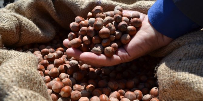 Tmo’dan Fındık Sektörüne Uyarı