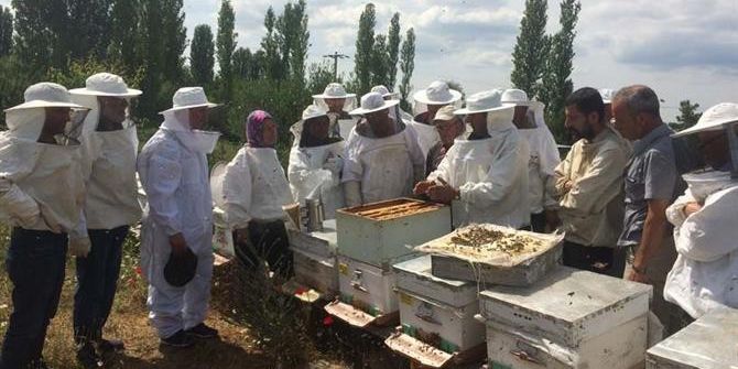 Bayramiç’te ‘Uygulamalı Ana Arı Yetiştiriciliği’ Kursu Düzenlendi