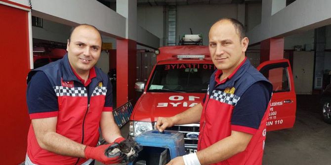 Aracın Motoruna Giren Yavru Kediyi İtfaiye Kurtardı