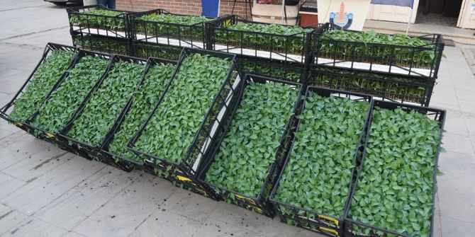 Bursa’da Dünya Pazarlarına Özel Üretim