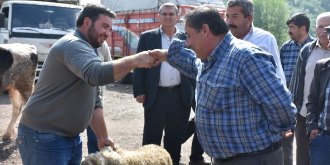 Kızılcahamam’da Canlı Hayvan Pazarı Açıldı