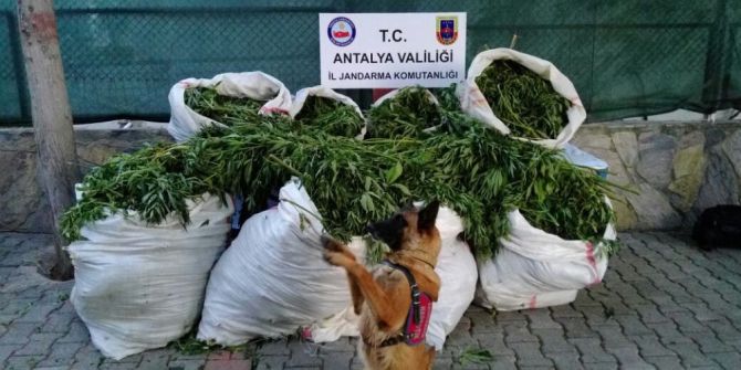 Antalya’da Zehir Tacirlerine Ağır Darbe