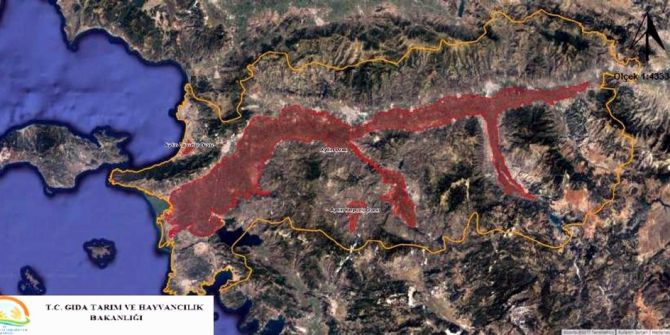 Aydın ‘Büyük Ova’ Oldu