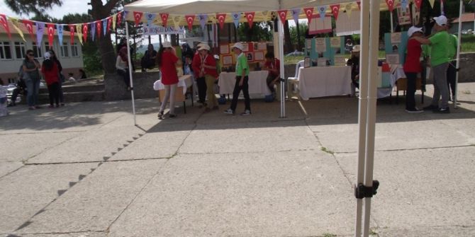 Balya Koyuneri Ortaokulunda Bilim Fuarı Açıldı