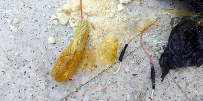 Nusaybin’de Yağ Tenekesine Tuzaklanmış Eyp Bulundu