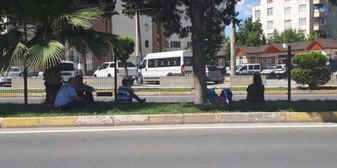 Vatandaşlar Ağaç Gölgelerine Kaçıyor